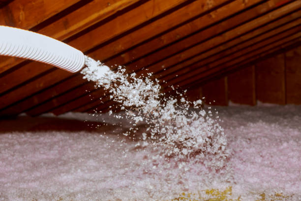 Best Energy Efficiency Solutions in Mill Plain, CT